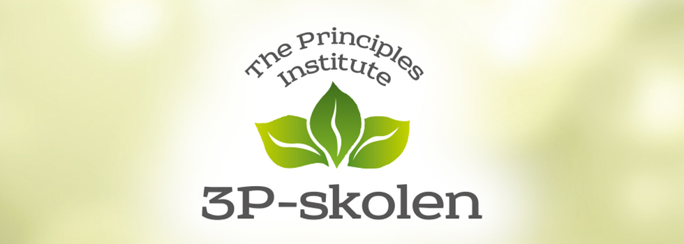 3P-skolen_topfoto